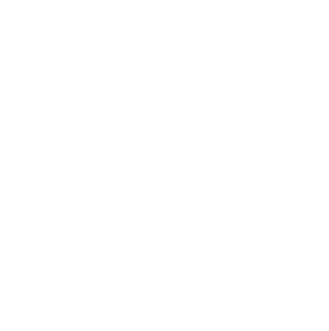 ACNC Registered Charity logo