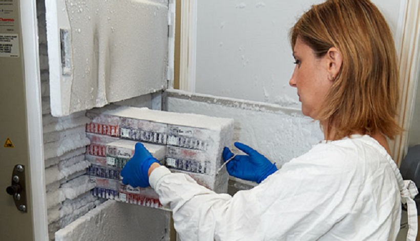 Associate Professor Andrew Moore from the University of Queensland is researching the standardised collection and storage of tumour samples and clinical data.