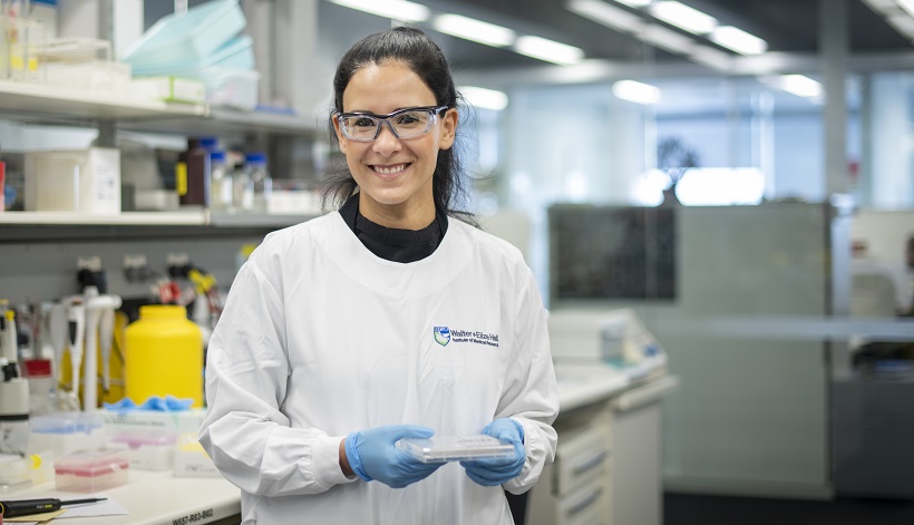 Dr Diane Hanna from The Walter and Eliza Hall Institute is researching BH3 mimetics for the treatment of ALL.