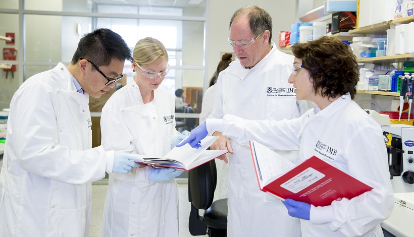 Professor Brandon Wainwright from the University of Queensland is researching CDK4/6 for the treatment of medulloblastoma.